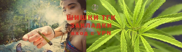 ешки Вязьма